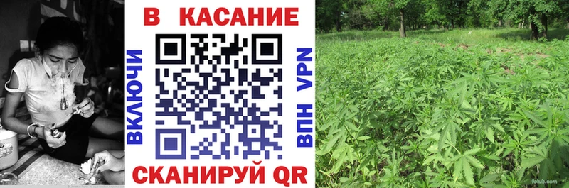 A-PVP Евпатория