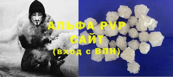 прущие грибы Инта