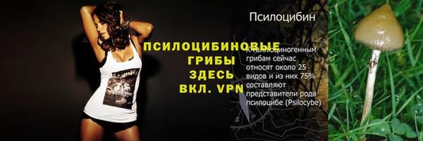 меф Каменск-Шахтинский