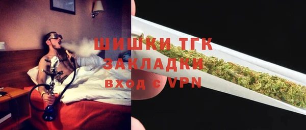 прущие грибы Инта