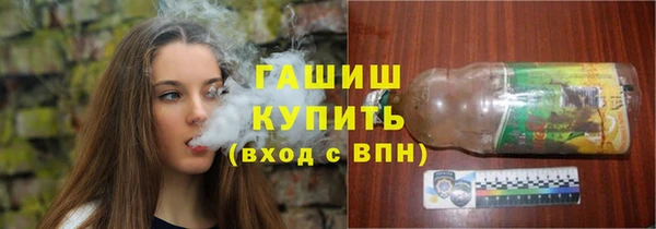 прущие грибы Инта