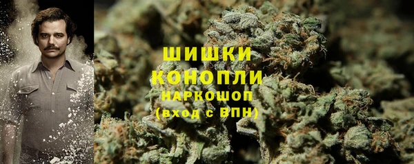 прущие грибы Инта