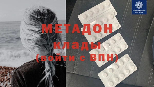 прущие грибы Инта