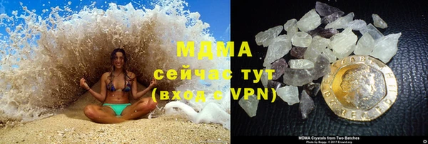 прущие грибы Инта