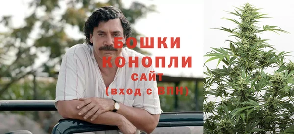 a pvp Каменногорск