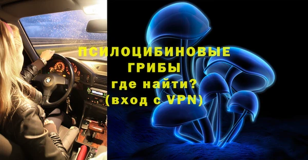 меф Каменск-Шахтинский