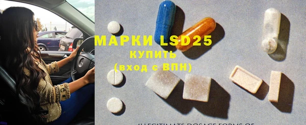 прущие грибы Инта