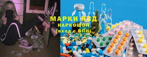 прущие грибы Инта