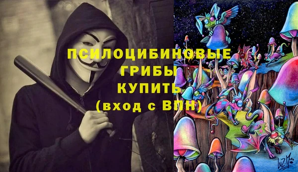 а пвп мука Инсар