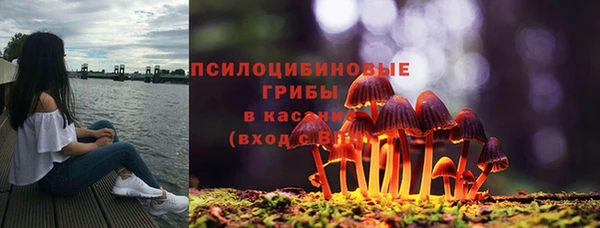 а пвп мука Инсар