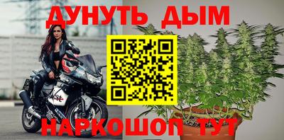 a pvp Свободный