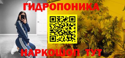 a pvp Свободный