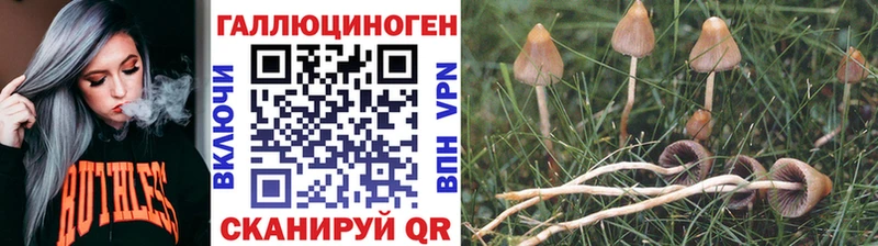 ОМГ ОМГ tor  Евпатория  Галлюциногенные грибы мицелий  дарнет шоп 