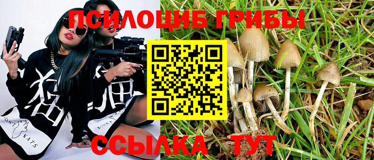 Галлюциногенные грибы ЛСД  Галлюциногенные грибы Magic Shrooms  Евпатория  Вход с VPN 