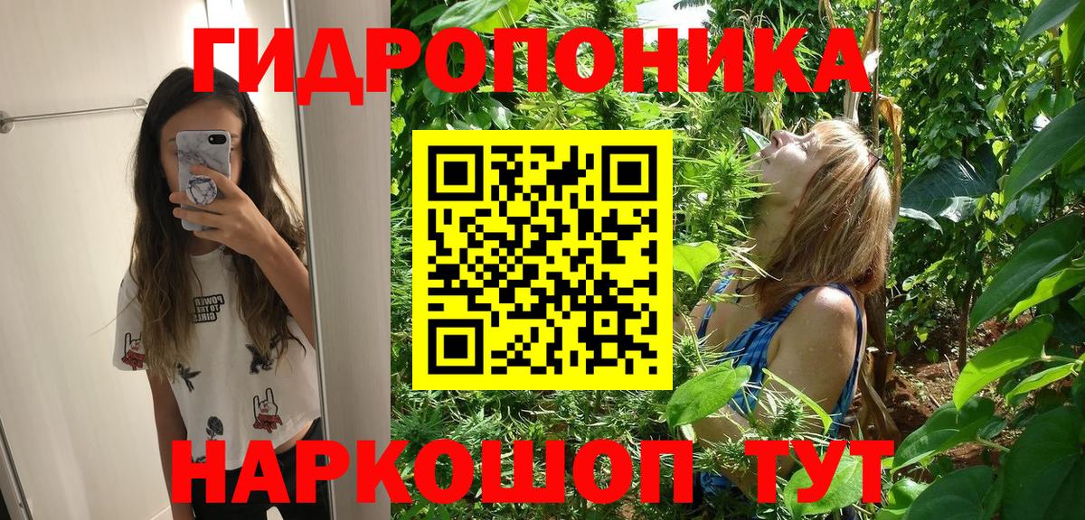 Каннабис ГИДРОПОН  Бошки Шишки конопля  Вход с VPN  Евпатория  Каннабис тримм 